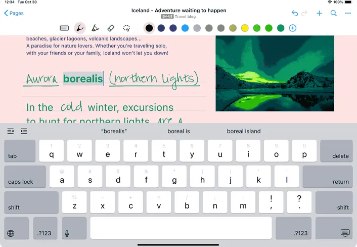 MyScript Notes document view