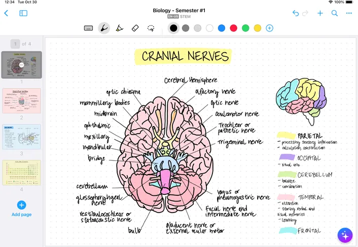 MyScript Notes notebook view